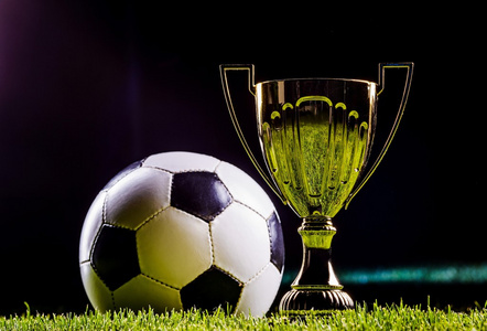 素而被戏称 素而被戏称