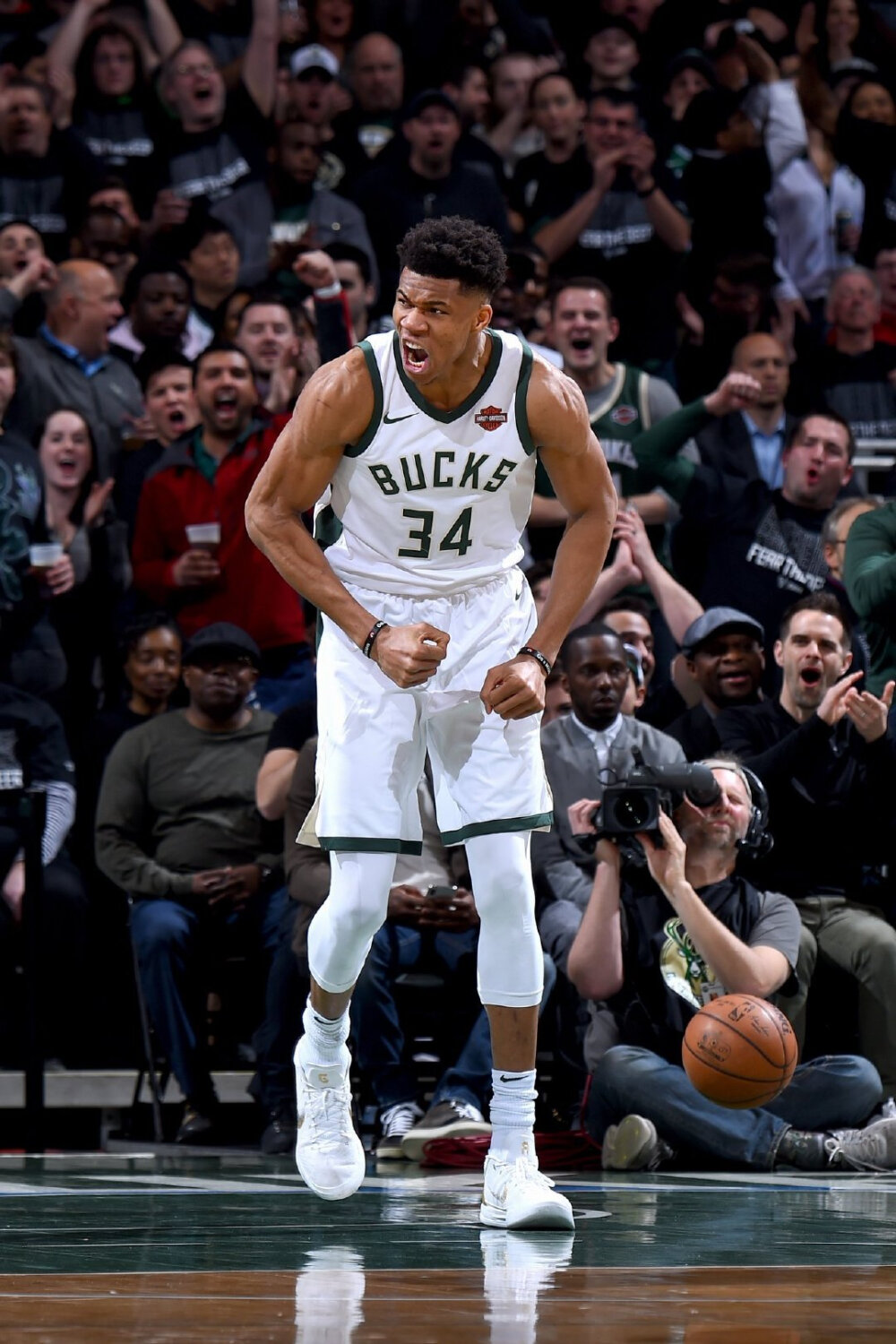 而非死记 而非死记